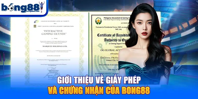 Bong88 Giới thiệu về giấy phép và chứng nhận của BONG88