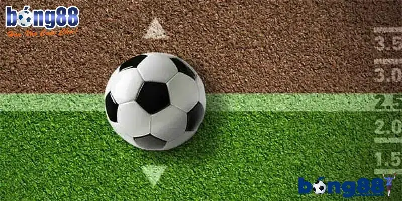 Soi kèo Cup C1 - Phân tích kết quả chính xác từ chuyên gia Mẹo chốt kèo dễ thắng lớn